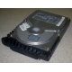 Жесткий диск 18.4Gb Quantum Atlas 10K III U160 SCSI (Дедовск)