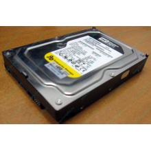 Жесткий диск 160Gb WD WD1602ABKS SATA (Дедовск)