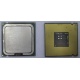 Процессор Intel Celeron D 336 (2.8GHz /256kb /533MHz) SL98W s.775 (Дедовск)