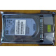 HDD 146.8Gb HP 360205-022 404708-001 404670-002 (Дедовск)