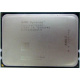 AMD Opteron 6128 OS6128WKT8EGO (Дедовск)