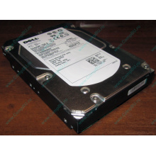 Жесткий диск 300Gb 15k Dell 9CH066-050 6G SAS (Seagate Cheetach ST3300656SS 15K.6) - Дедовск