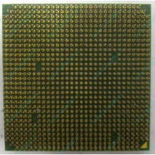 Процессор AMD Sempron 3000+ (1.6GHz) SDA3000IAA3CN s.AM2 (Дедовск)