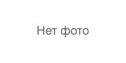 AMD (Дедовск)